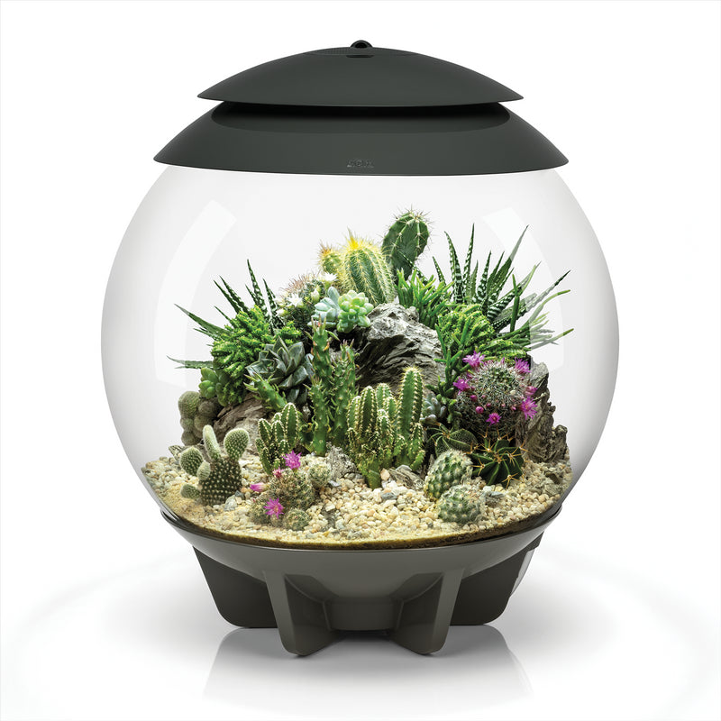 biOrb AIR 30L Acrylic Terrariums