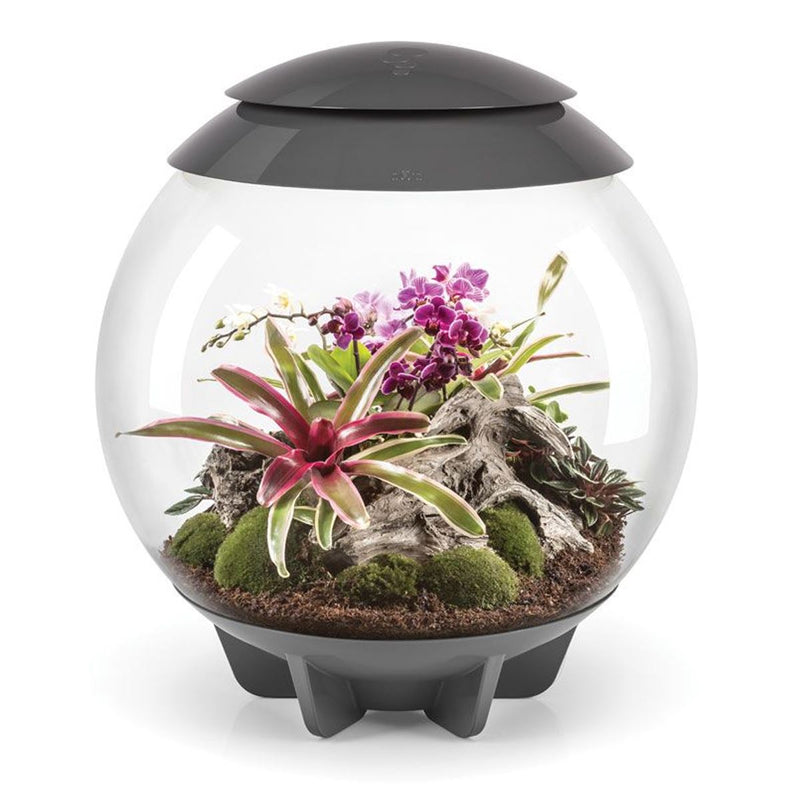 biOrb AIR 60L Terrariums