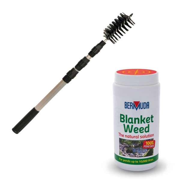 Hozelock Blanketweed Brush and 400g Bermuda Blanketweed Treatment