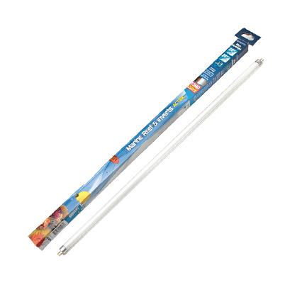 Interpet Blue Moonlight T5HO Aquarium Linear UV Bulbs