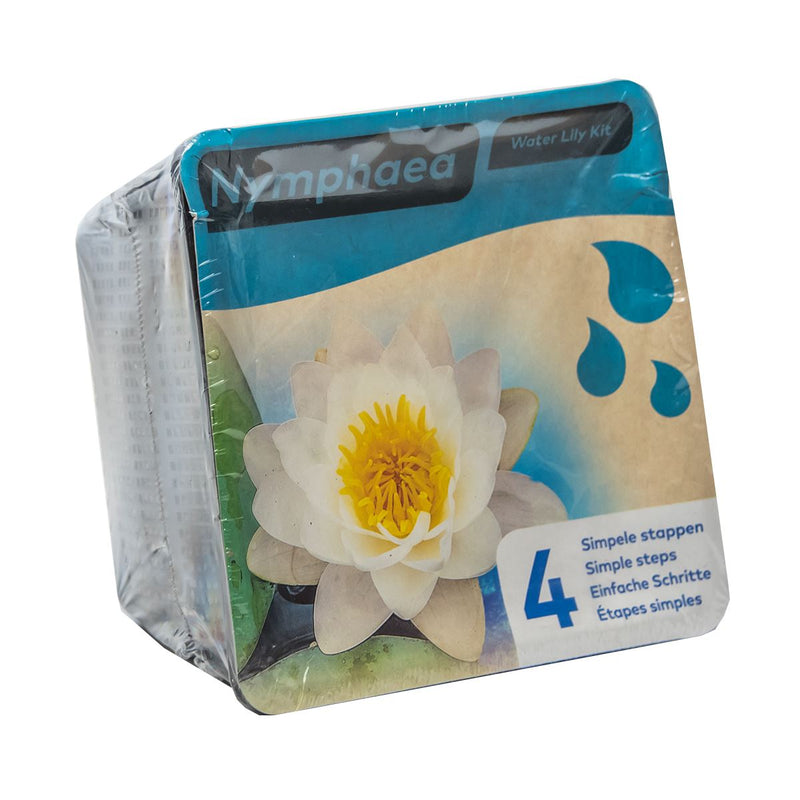 Moerings Water Lily Pond Plant Kit