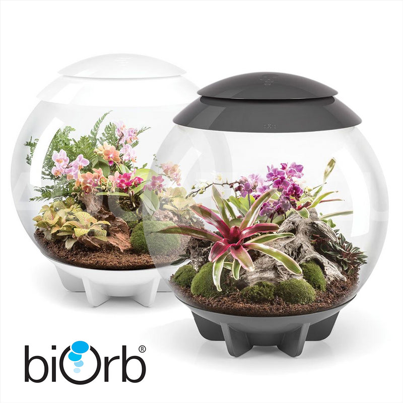 biOrb AIR 60L Terrariums