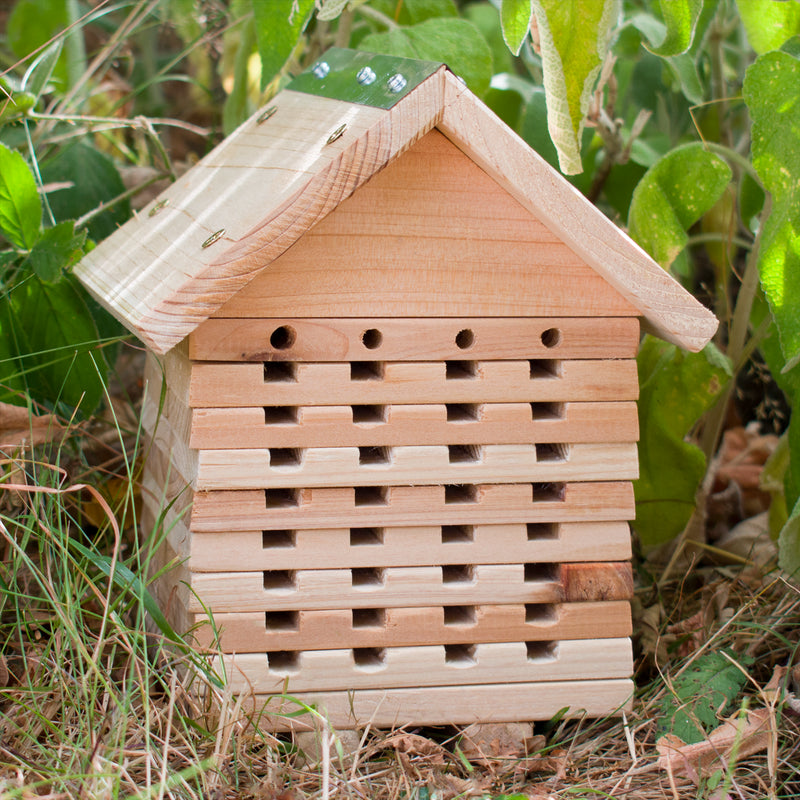 KCT Solitary Wooden Bee House