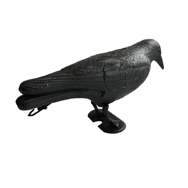 Decoy Crow & Decoy Pigeon Shell Bundle (Pack of 3 Each)
