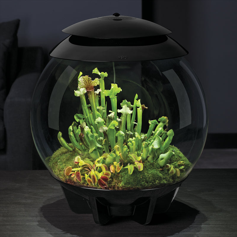 biOrb AIR 30L Acrylic Terrariums