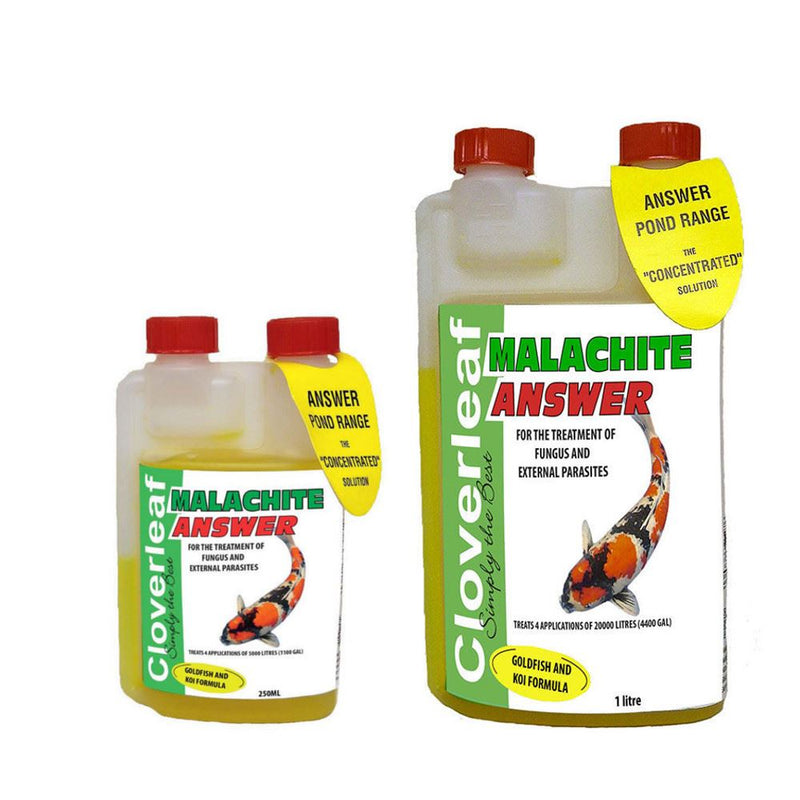 Cloverleaf Malachite Answer Fish Treatment