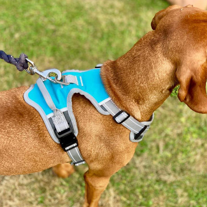 Henry Wag Medium Dog Harness