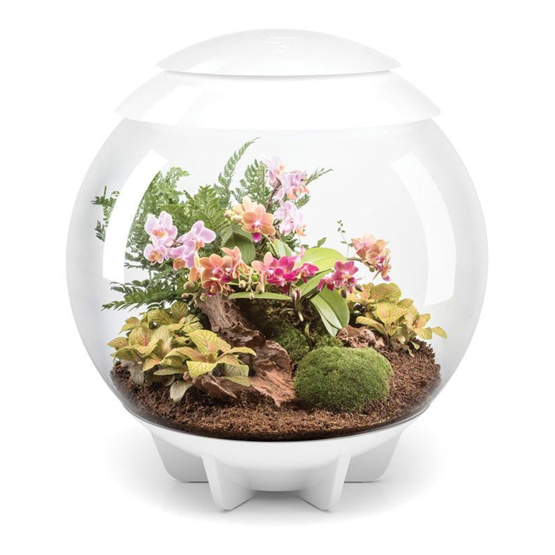 biOrb AIR 60L Terrariums