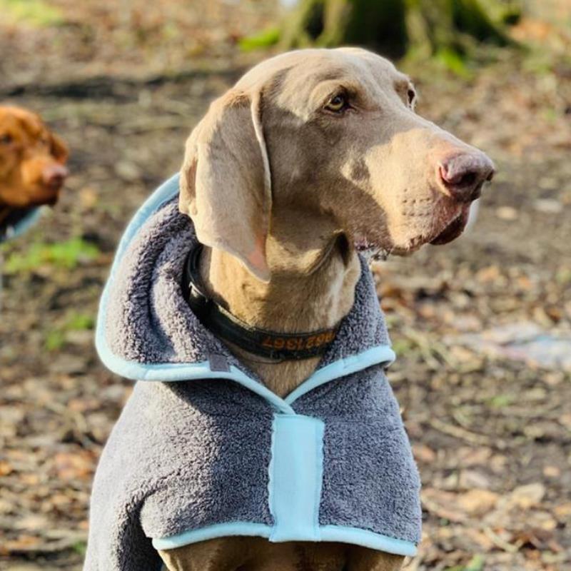 Henry Wag Microfibre Drying Coat Robes