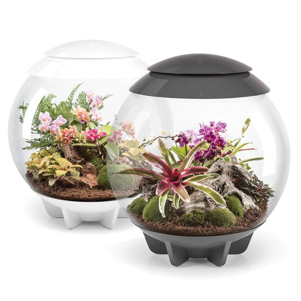 biOrb AIR 60L Terrariums