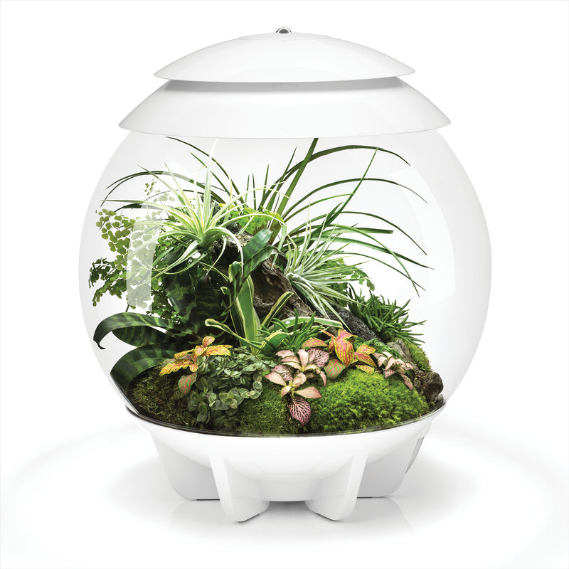 biOrb AIR 30L Acrylic Terrariums