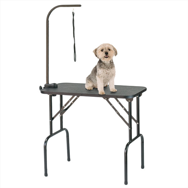 Dog Grooming Table – Portable/Foldable with Leash Tether