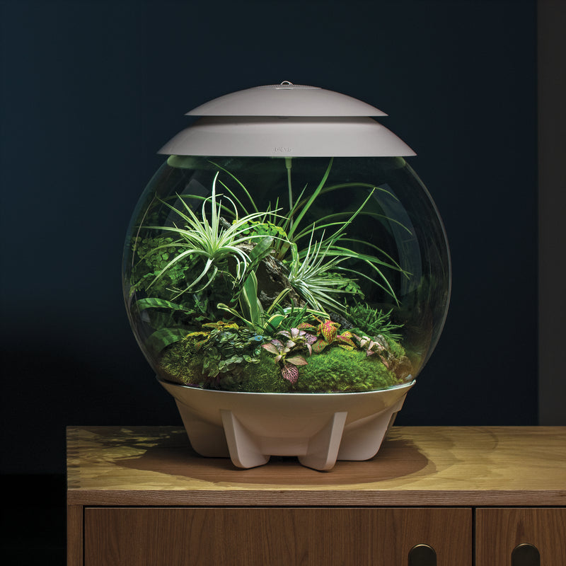 biOrb AIR 30L Acrylic Terrariums