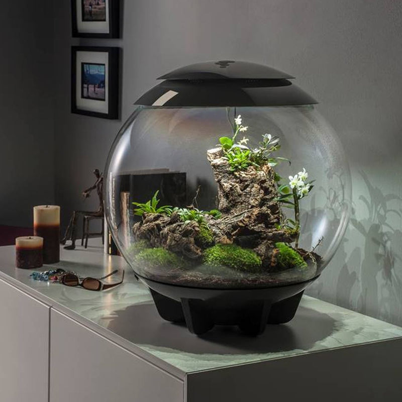 biOrb AIR 60L Terrariums