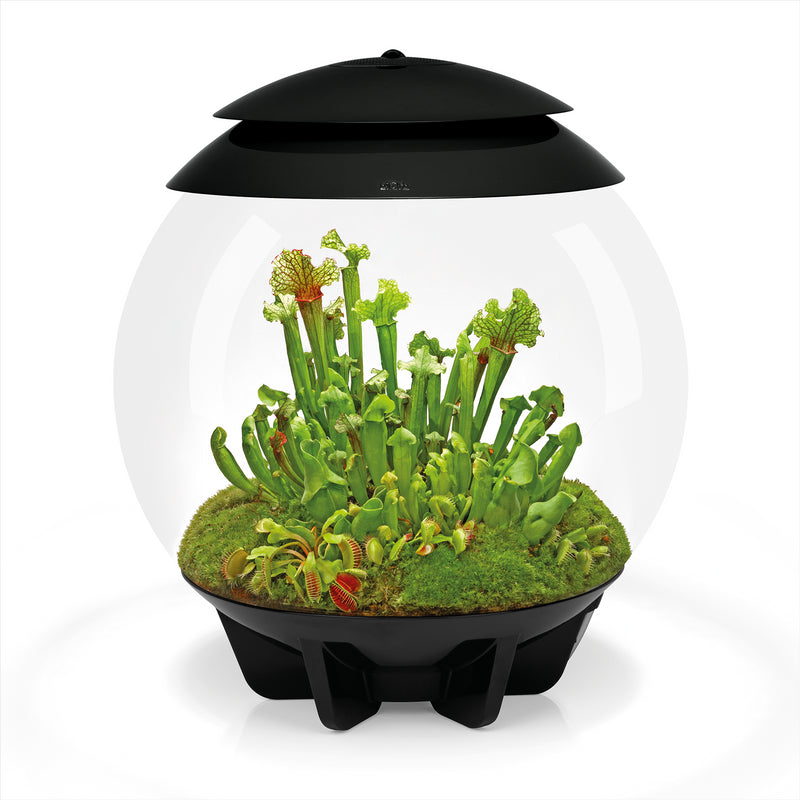 biOrb AIR 30L Acrylic Terrariums