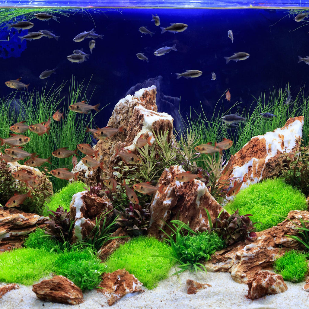 Tetra Aquarium Complete Substarte Aquatic Plant Growth Fertiliser