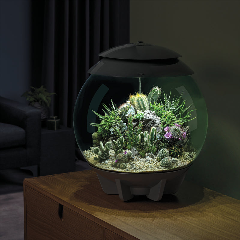 biOrb AIR 30L Acrylic Terrariums